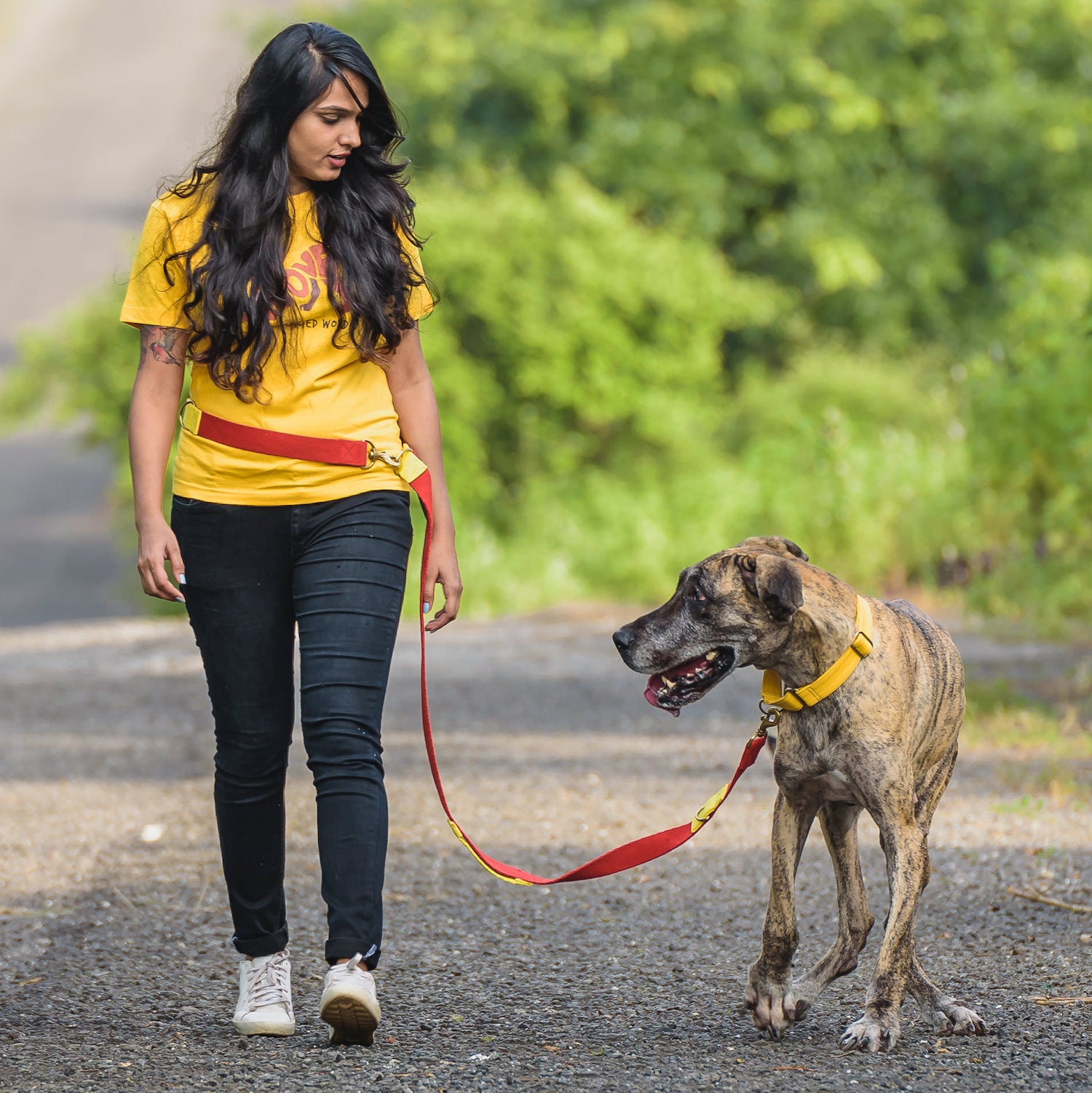 Multi purpose hotsell dog leash