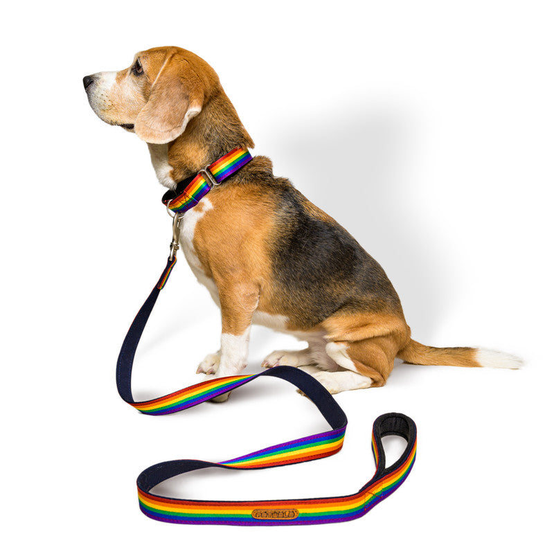 Fabric dog outlet leash