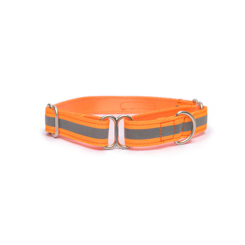 Orange 2025 martingale collar