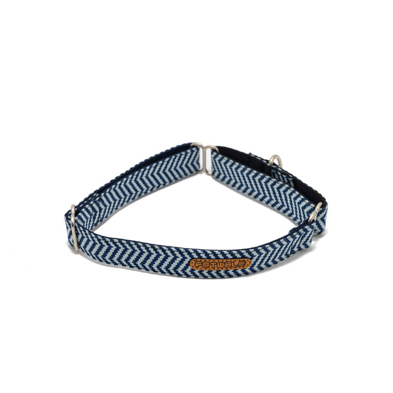 Blue ZigZag Martingale Collar