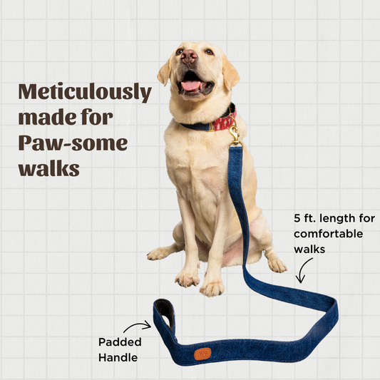 Blue Denim Fabric Leash with padded handle