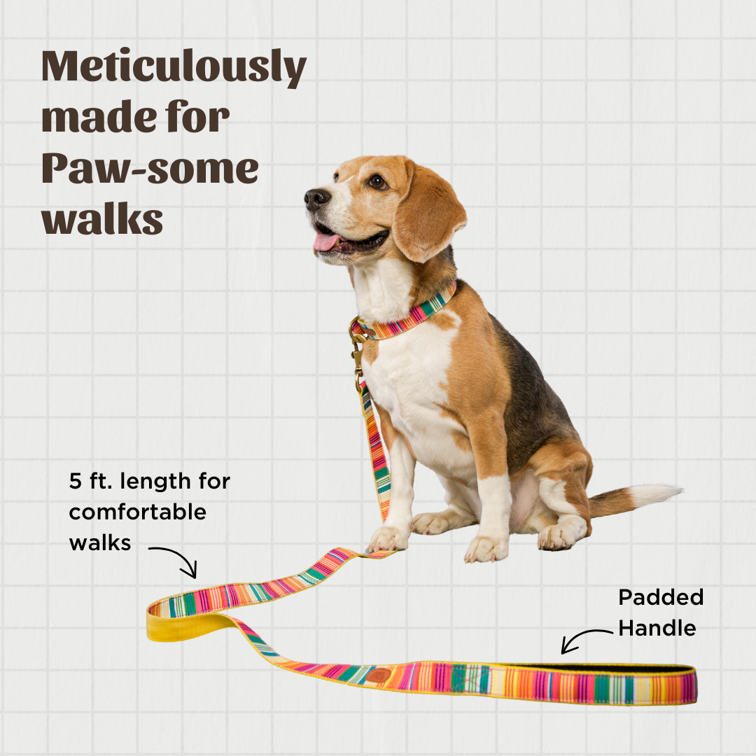 Colourful Stripes Nylon Leash with padded handle