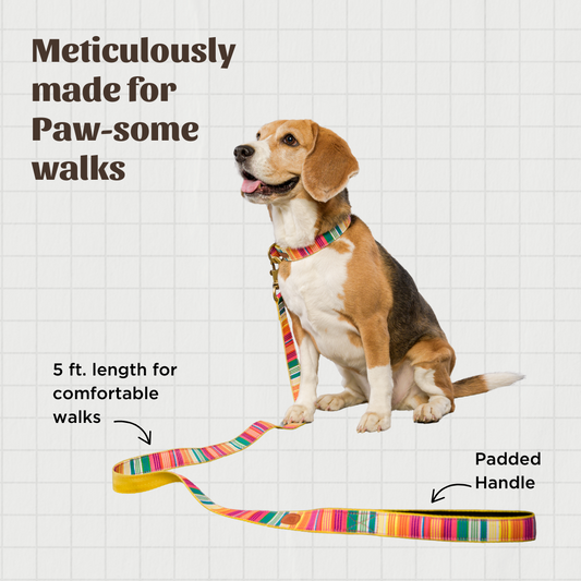 Colourful Stripes Nylon Leash with padded handle