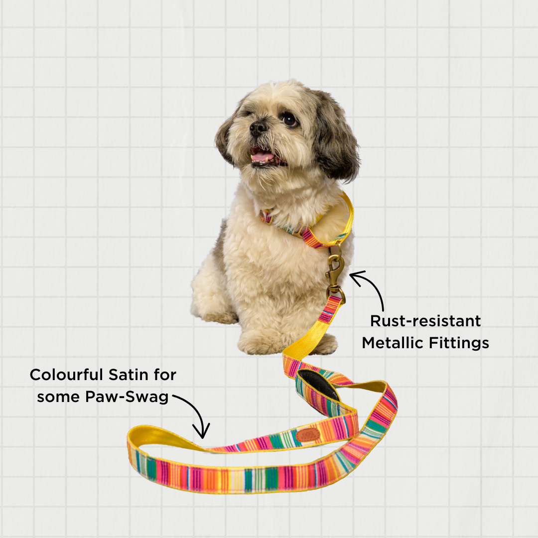 Colourful Stripes Nylon Leash with padded handle