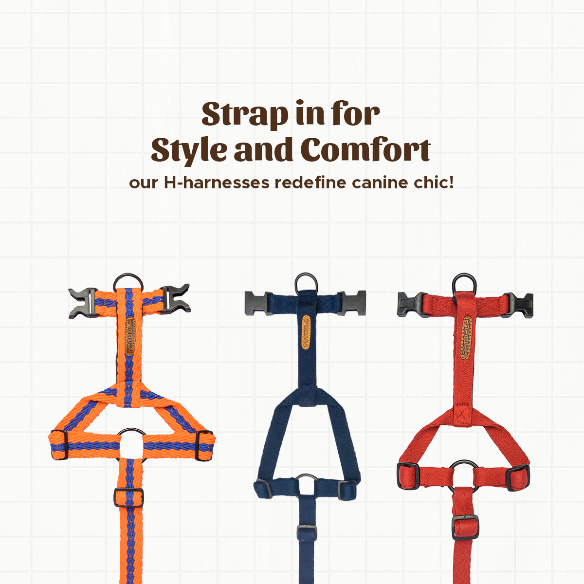 Orange with Blue Cotton H-Harness