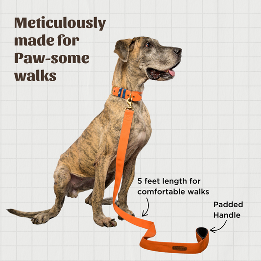 Orange Fabric Leash with padded handle