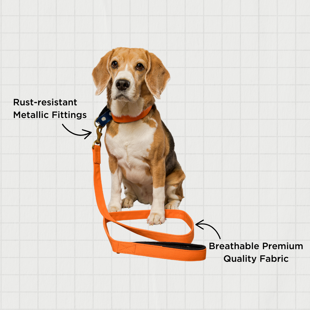 Orange Fabric Leash with padded handle