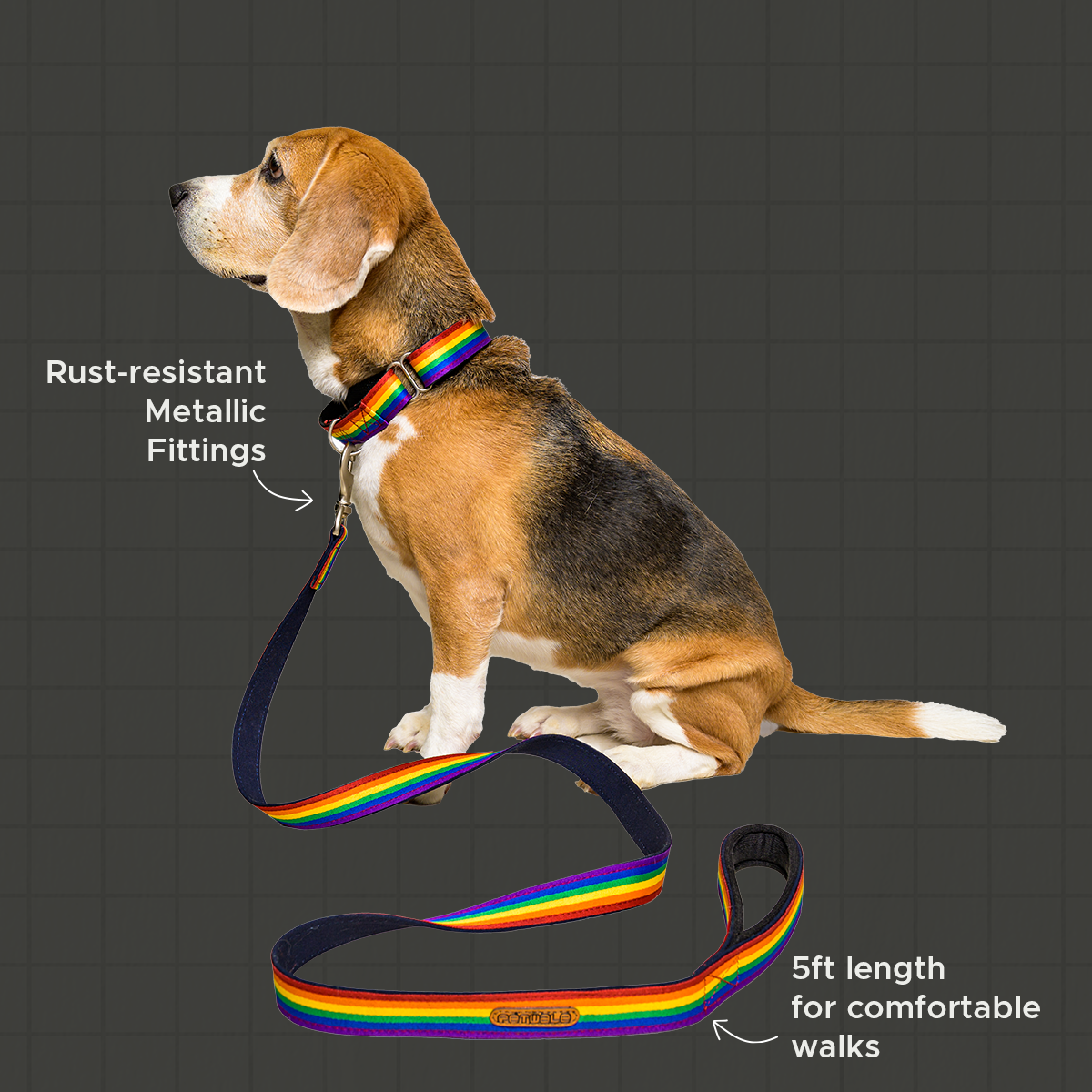 Rainbow Pride Fabric Leash with Padded Handle