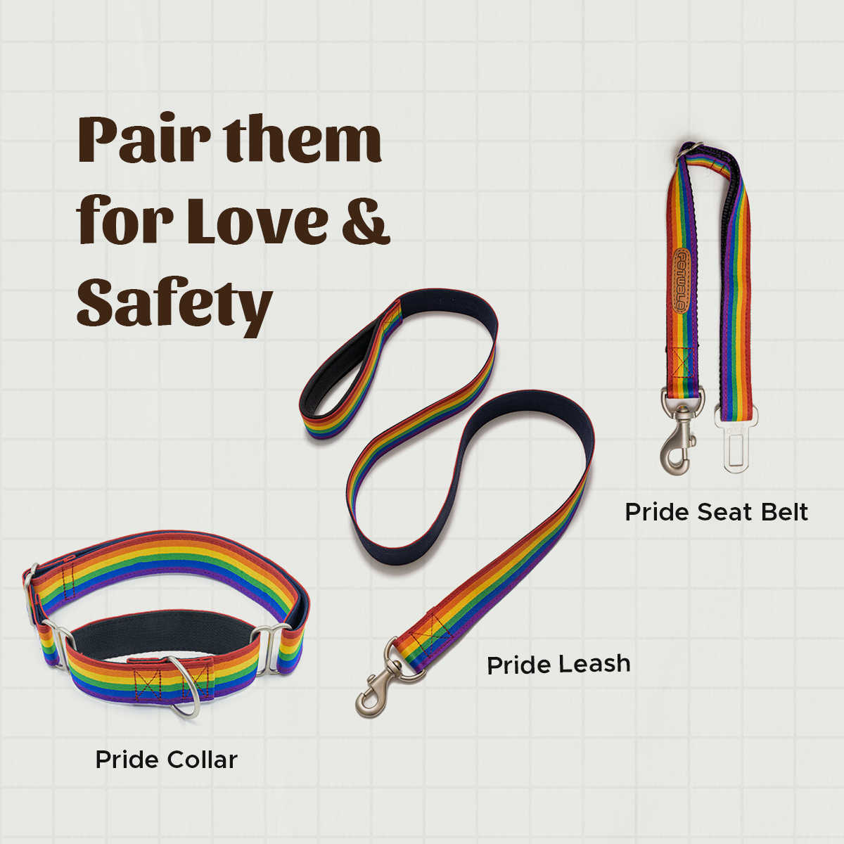 Rainbow Pride Fabric Leash with Padded Handle