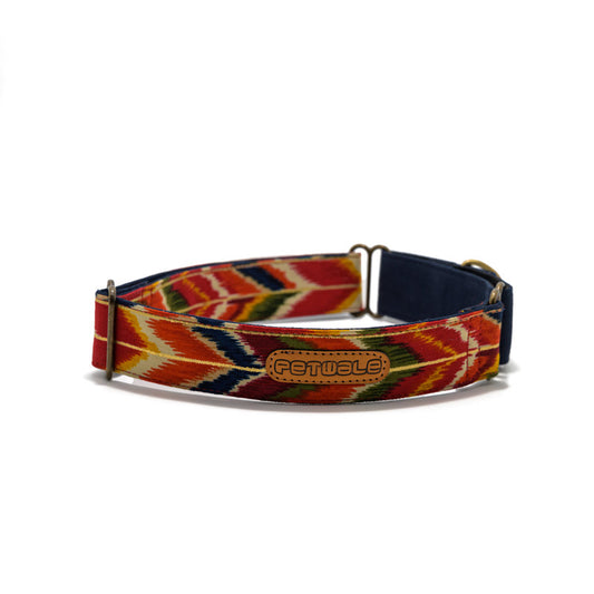 Red Print Martingale Collar