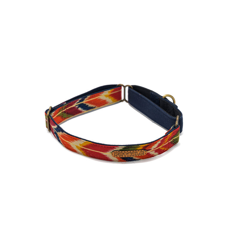 Red Print Martingale Collar