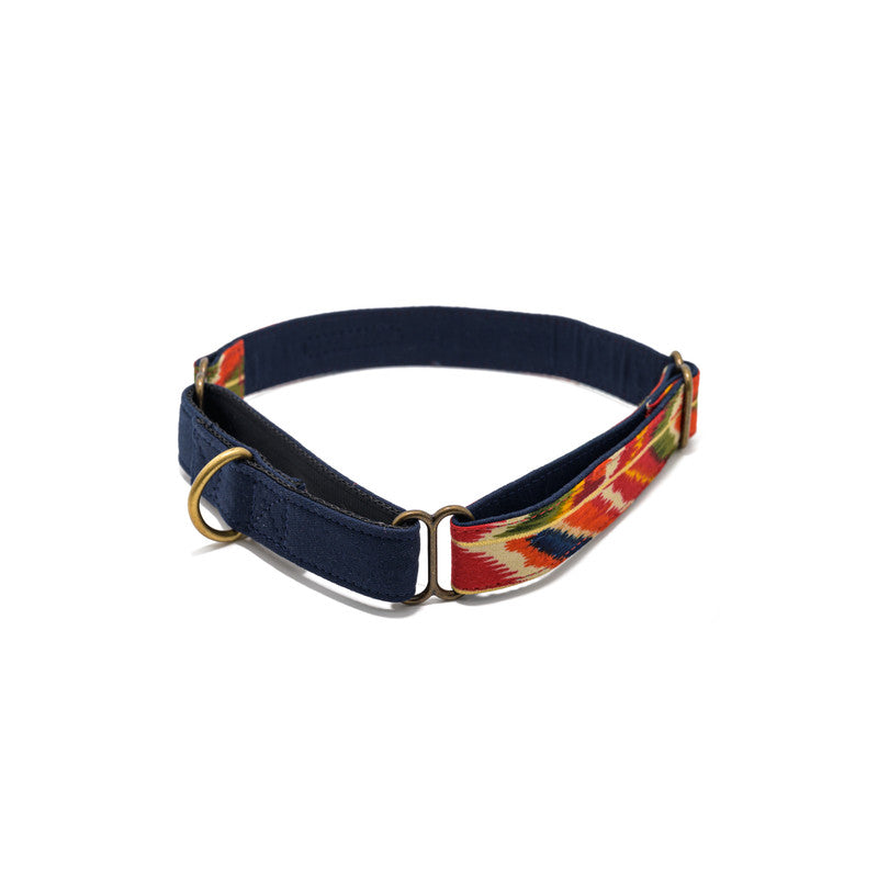 Red Print Martingale Collar