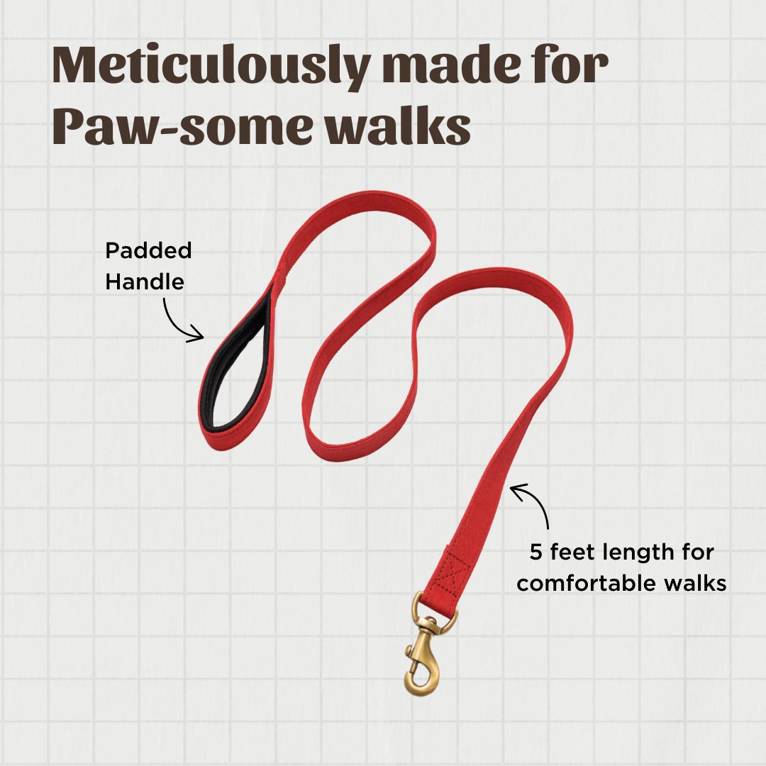 Red Fabric Leash with Padded Handle