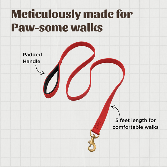 Red Fabric Leash with Padded Handle