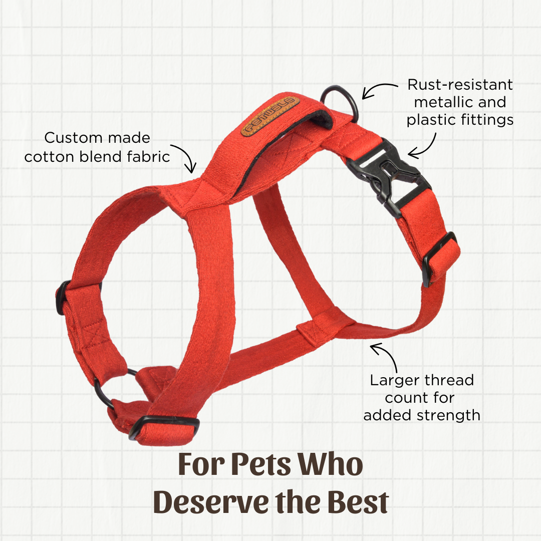 Red Cotton H-Harness