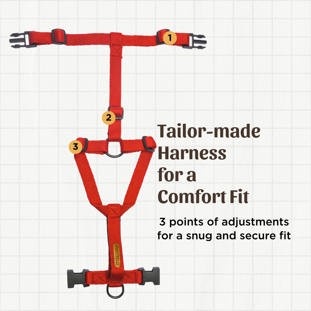 Red Cotton H-Harness