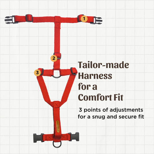 Red Cotton H-Harness