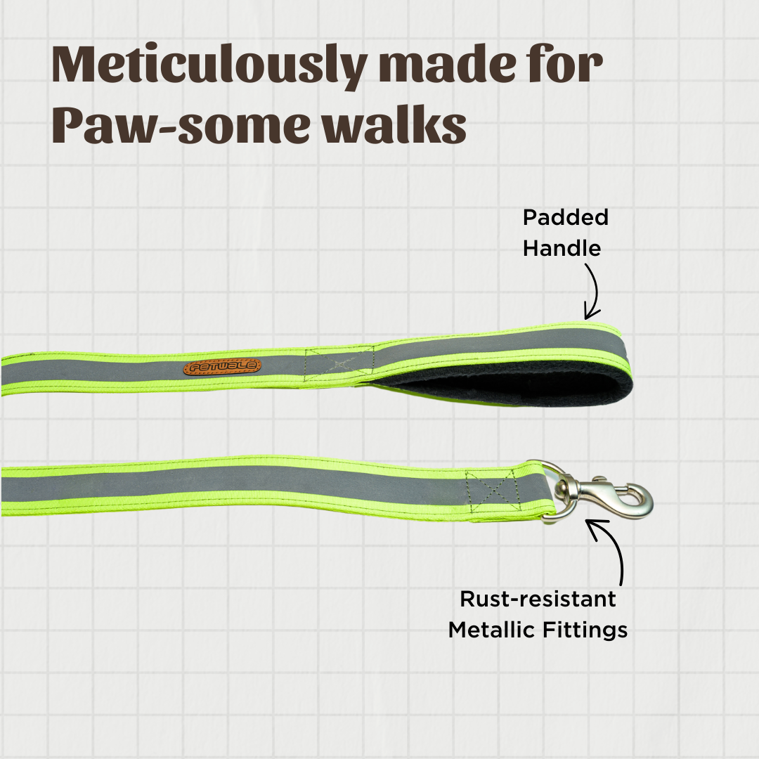 Reflective Green Nylon Leash with padded handle