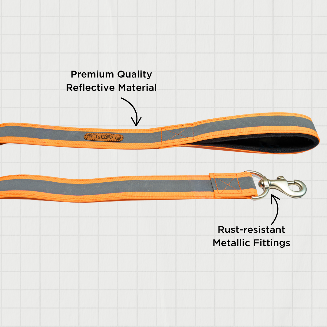 Reflective Orange Nylon Leash with padded handle