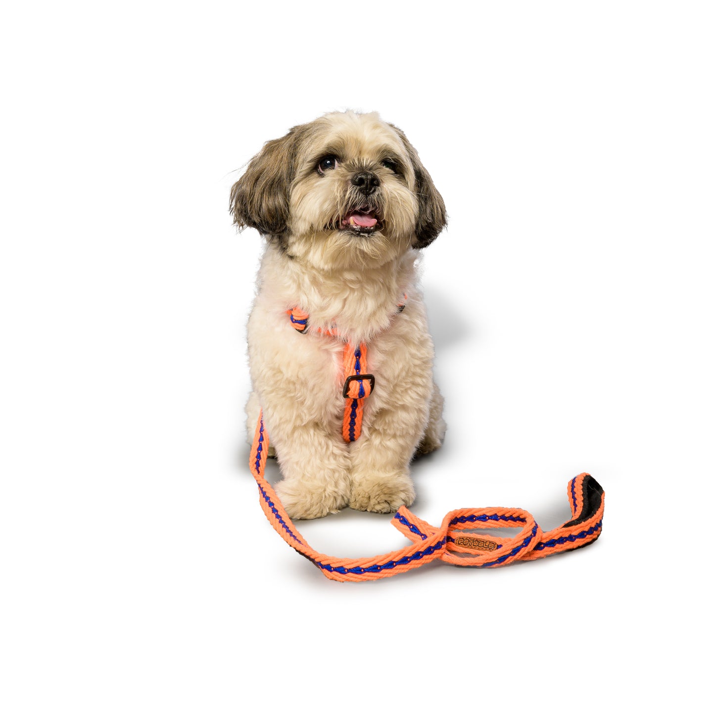 Orange with Blue Cotton H-Harness