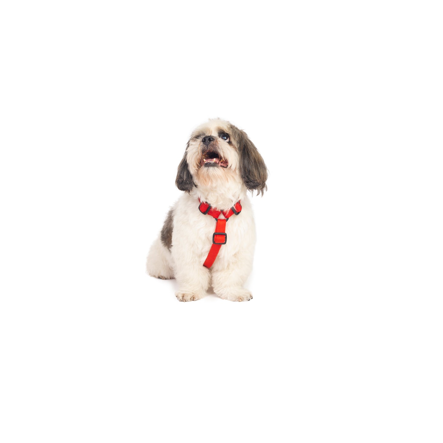 Red Cotton H-Harness