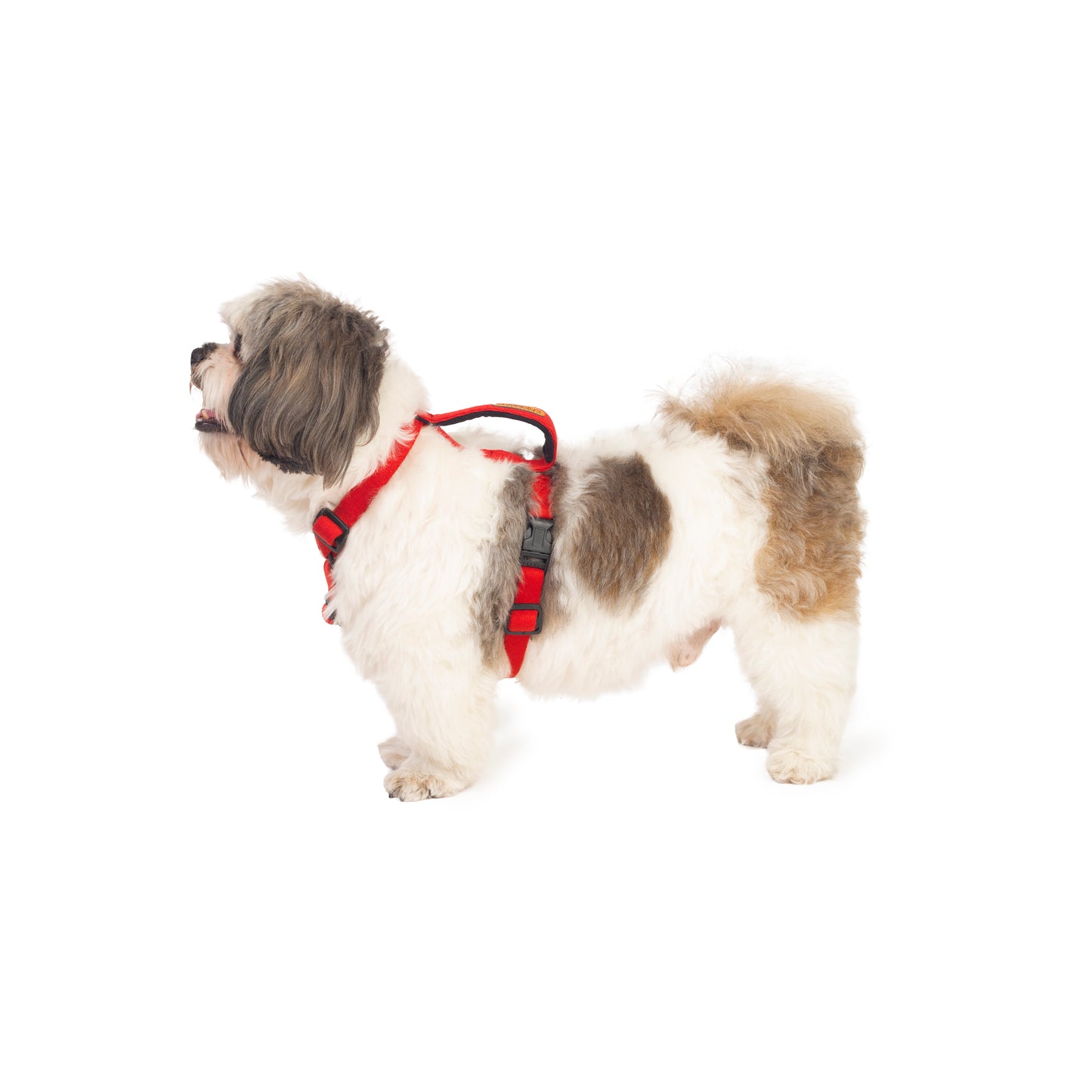 Red Cotton H-Harness