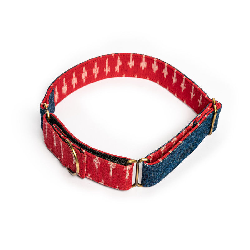 Blue Denim Fabric Martingale Collar PetWale