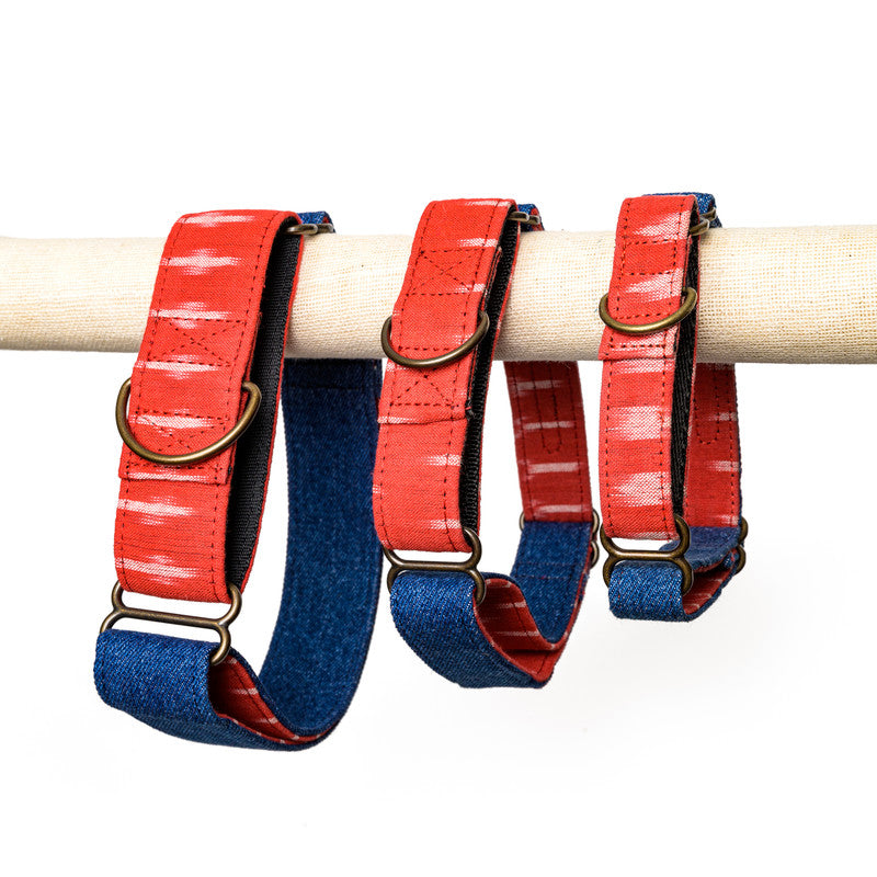 Bulk martingale hot sale dog collars