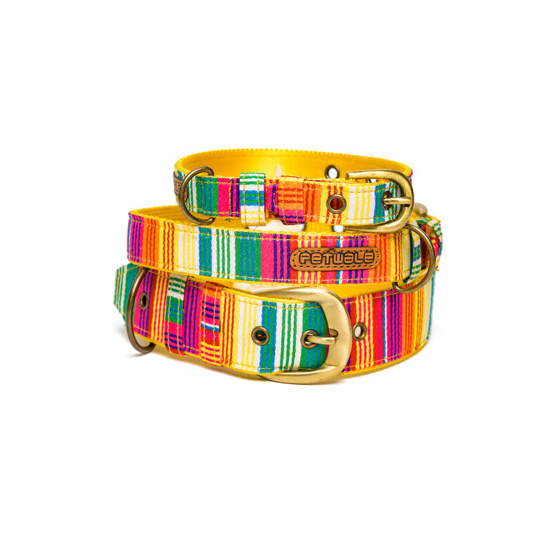 Colourful shop dog collars