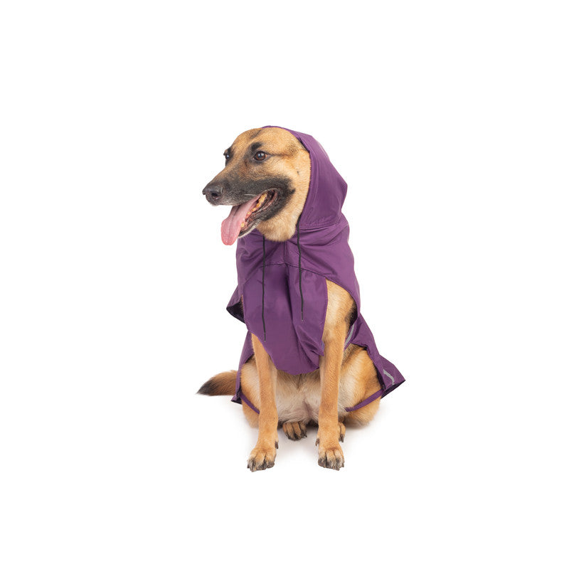 Purple sales dog raincoat